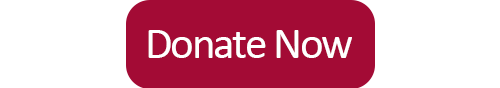 Donate Now Button