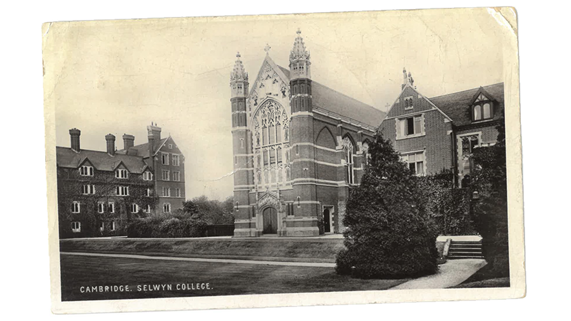 Selwyn postcards 1