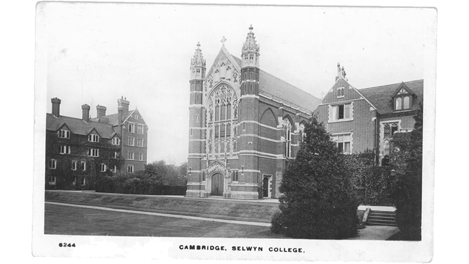 Selwyn postcards 5