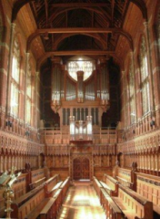 Organ