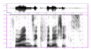 Waveform of a female speaker