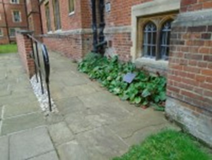 Accessible entrance, Porters’ Lodge