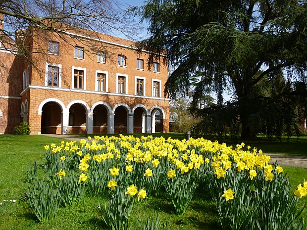 Ann’s Court in Spring